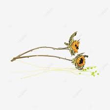 Visualizza altre idee su fiori, fiori secchi, fiori pressati. Fiori Secchi Secchi Decorazione Natura Morta Pianta Secco Aria Secca Fiore Immagine Png E Clipart Per Il Download Gratuito