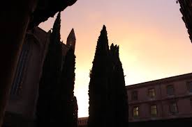 Cuisine Study Abroad In France