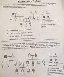 It can be solution, a retaliation or a response to it. Solved Genetics Pedigree Worksheet 1 Use The Below Pedig Chegg Com