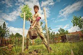 Ist dein garten schon angelegt und soll umgestaltet werden, kannst du dir kleine bereiche vornehmen und die stück für stück in angriff nehmen. Gartengestaltung Hornbach