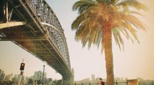 Walk 28km through some of sydney's most scenic locations and raise funds for a cancer free future. Seven Reasons To Take Part In The Seven Bridges Walk