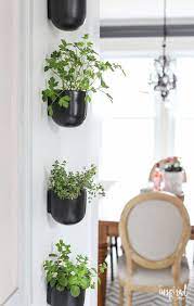 Modern Kitchen Herb Garden Inspired By Charm Black Ceramic Wall Planters From West Elm 4 Size Herb Garden In Kitchen Herb Garden Wall Kitchen Herbs