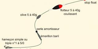 La pêche de la truite au toc donne de très bons résultats. Techniques Et Montages Pour Le Brochet Peche Mag Fr Le Magazine De La Peche