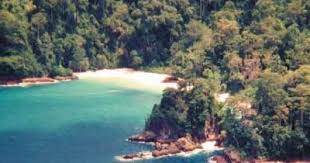 Tiket masuk teluk biru banyuwangi : Wisata Pantai Teluk Hijau Permata Yang Tersembunyi Di Banyuwangi Tempat Me