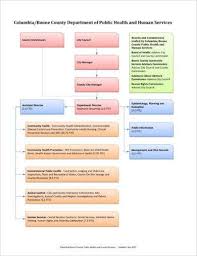 9 organizational flow chart templates and examples pdf