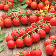 A pest management program from cook's, with a focus on sanitation, exclusion and treatment techniques, will help ensure a quality experience at your restaurant. Pest Exclusion Bags For Fruits Organic Control 20 Pieces Tomato Home Garden Other Weed Pest Control
