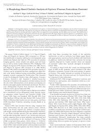 Image result for Digitaria gymnostachys