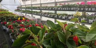 Before you start barging into others private life discreetly using an app, you must ensure you have a prior consent. Carla S Flower Farm Siouxfalls Business