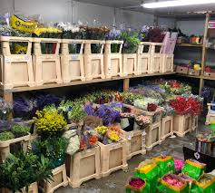 Where to buy wholesale flowers uk. Flowers Estuary Wholesale