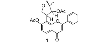 Image result for Tephrosia aequilata