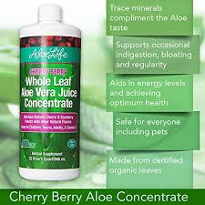Aloe vera isn't just effective at soothing sunburns. Aloe Life Whole Leaf Aloe Vera Juice Concentrate Certified Activator Organic Supports Healthy Digestion Immune System And Overall Wellness Cherry Berry 32 Ounces Pricepulse