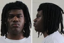 Houston County Crime