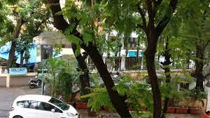 Bblunt Malad W Rishikesh Bunglow Marve Road Next To Carmel Of St Joseph School Adarsh Dugdhalaya Malad has a railway station on the western line (mumbai suburban railway) of the mumbai suburban railway, lying between kandivali station to the north and goregaon station to the south. india infoaboutcompanies com