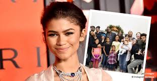 So, her net worth is also not revealed to the media. Euphoria Star Zendaya Has A Big Family With 3 Sisters 2 Brothers Her Parents Meet Them