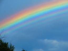 We did not find results for: The Most Beautiful Rainbow I Ve Ever Seen Album On Imgur