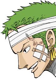  Zoro Understands Luffy Zoro One Piece One Piece Anime Roronoa Zoro