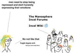 In 1997, a woman from toronto thought to create an online community for singles who had limited experience with romantic relationships and sex. Incel Incel Wiki