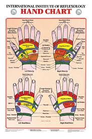 Hand Reflexology Chart Hand Reflexology Reflexology