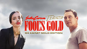 Their only use would be to identify the victims of the next disaster. Sofia Carson Tiesto Fool S Gold 24 Karat Gold Edition Official Music Video Youtube