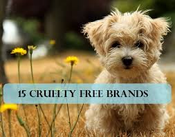 Cruelty free makeup brands that test on animals. 15 Makeup Brands That Don T Test On Animals Alternatives To Animal Testing Vanitynoapologies Indian Makeup And Beauty Blog