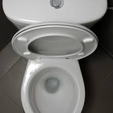The snowy one provides chlorine to disinfect and eliminate stains. How My 90 Year Old Mother Fixed Thetoilet Or What To Do When Your Toilet Stops Up Hubpages