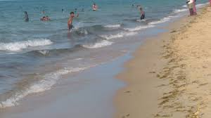 Ariyaman Beach Rameswaram 2021 What To Know Before You Go With Photos Tripadvisor Find reviews and discounts for aaa/aarp members, seniors, long stays & government.