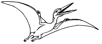 Dinosaurier zug 17 ausmalbilder für kinder malvorlagen. Https Www Prepolino Ch Themen Urgeschichte Dinos Saurier Lexikon Pdf