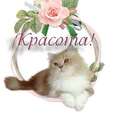 класс