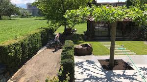 Wir bauen und pflegen gärten in denen sie leben, geniessen und entspannen können. Pflanzen Als Schattenspender Gartenbau Gassner