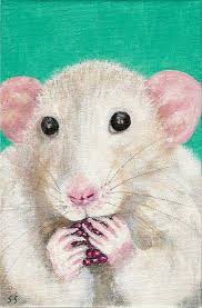 If you give a rat a raspberry...