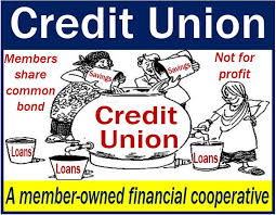 People who are willing to start their own business a but. Credit Union Definition And Meaning Market Business News