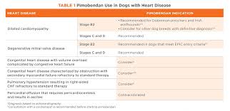 pimobendan and heart disease todays veterinary practice