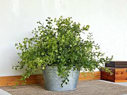 Fake Plant Artificial Plant Farmhouse Greenery Small Table Artificial Plants Outdoor Artificial Plants Indoor Small Fake Plants