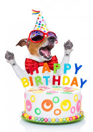 Doggy Birthday | Feliz cumpleaños 🎂🎁🎉 | Enviar auténticas ...