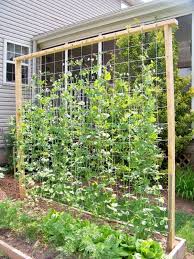 25 Eye Catching Diy Trellis Ideas For Your Garden The Art In Life Diy Garden Trellis Diy Trellis Vegetable Garden Design