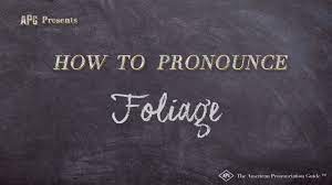 Raccoon vous apprends a prononcer foliage. How To Pronounce Foliage Foliage Pronunciation Youtube