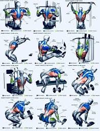 Upper Back Weight Exercises Best Chest Workout Gym Workouts Chest Workouts