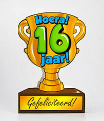 Trofee Verjaardagskaart 16 Jaar Feestbazaar Nl
