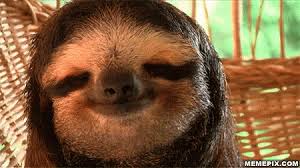 We did not find results for: Sloth Cute Gif Sloth Cute Chill Discover Share Gifs