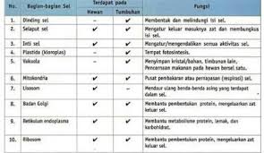 We did not find results for: 1 Apa Yang Dimaksud Dengan Organisasi Kehidupan 2 Sebutkan Perbedaan Antara Sel Hewan Dan Sel Brainly Co Id