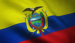 El tricolor de colombia, que presidió la gesta heroica del pichincha y después flameó en la torre del tejar y el 25 de mayo fue izado oficialmente en el fortín ¿deseas enviar la bandera del ecuador por whatsapp? Ecuador Country Images Free Vectors Stock Photos Psd