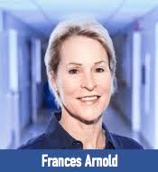 生きた細胞内でケイ素と炭素がはじめて結合！