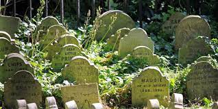 The penwith pet crematorium, near penzance, cornwall, pictured, one of roughly 50 pet cemeteries across britain, owners even have the the bizarre final resting places for man's best friends (as well as his cats, guinea pigs and horses): Pet Burial Everything You Need To Know Memorials Of Distinction