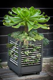 Check out these fantastic diy outdoor planter ideas. 15 Best Indoor Succulent Planting Ideas That Can Beautify Your Home Balcony Garden Web