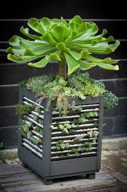 Plotting the pots in the the unique thing from succulent idea is that you can shape beautiful plot in a pot! 47 Succulent Planting Ideas With Tutorials Succulent Garden Ideas Balcony Garden Web