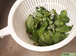 Il basilico può essere acquistato in quasi tutti i negozi di alimentari, ma la freschezza della pianta rimane discutibile. 3 Modi Per Congelare Il Basilico Wikihow