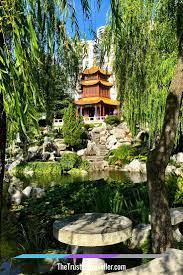 Finding Peace In Sydney S Chinese Garden Of Friendship The Trusted Traveller Chinese Garden Japanese Garden Beautiful Plants