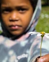 Marvin Petersen (@marvindb10) • Instagram photos and videos