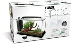 Some are round, some are square, rectangular, rounded in the front and flat on two sides and rounded on the other two. The 7 Best Betta Fish Tanks Available Today 2021 Guide Reviews
