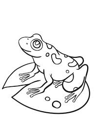 A coloring page collection featuring angels. Free Frog Coloring Page Frog Coloring Pages Coloring Pages Animal Coloring Pages